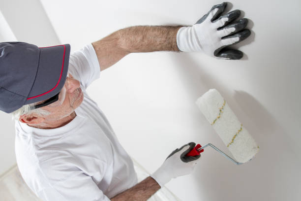 Mold Remediation for Vacation Homes in Maurice, LA