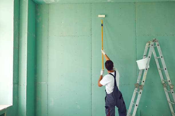 Best Mold Prevention Services  in Maurice, LA