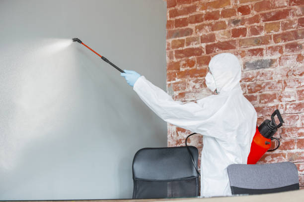 Best Forensic Mold Investigation  in Maurice, LA
