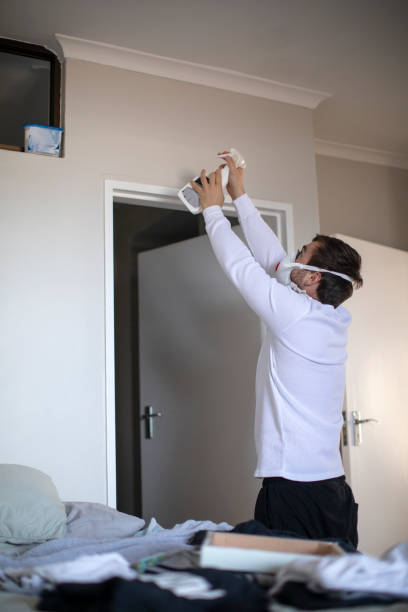 Reliable Maurice, LA Mold Removal Solutions