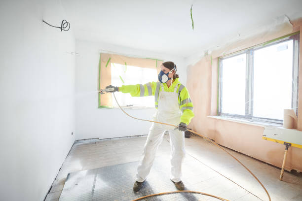 Best Basement Mold Removal  in Maurice, LA