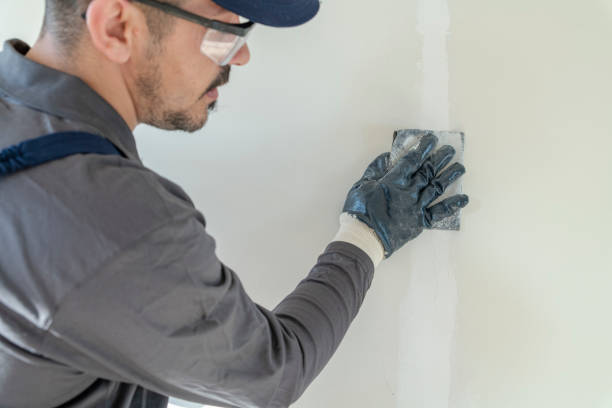 Best Mold Documentation for Insurance Claims  in Maurice, LA