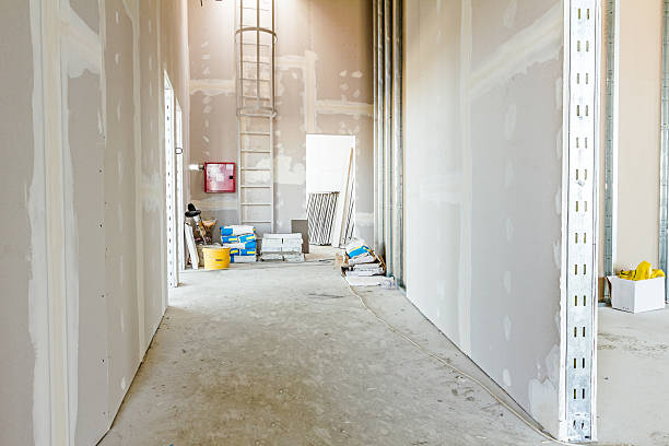 Best Airborne Mold Testing  in Maurice, LA