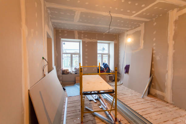 Best Post-Construction Mold Inspection  in Maurice, LA